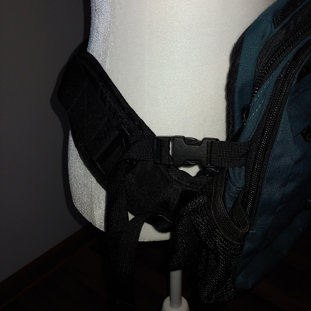 Ems Waistpack - image 4